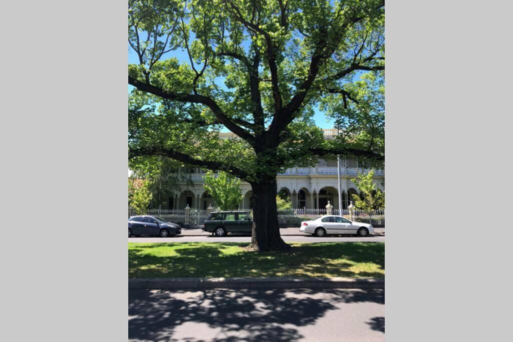 East Melbourne City Studio - Amazing Location & Sunny Charm Apartment Bagian luar foto