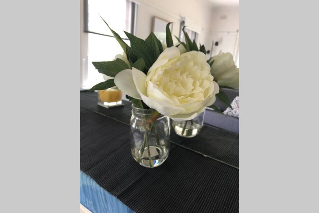 East Melbourne City Studio - Amazing Location & Sunny Charm Apartment Bagian luar foto